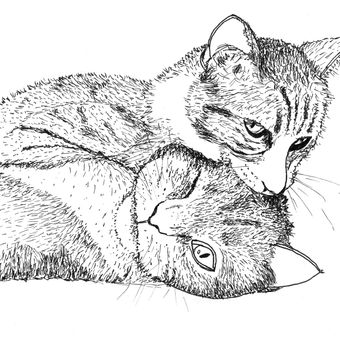 katten